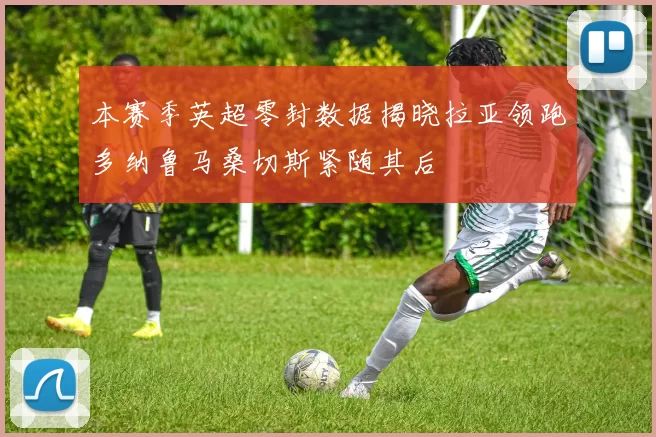 本赛季英超零封数据揭晓拉亚领跑多纳鲁马桑切斯紧随其后